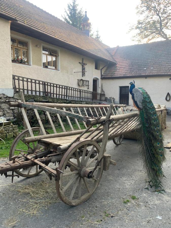 Chalupa Gretl Pohorsko Exteriör bild