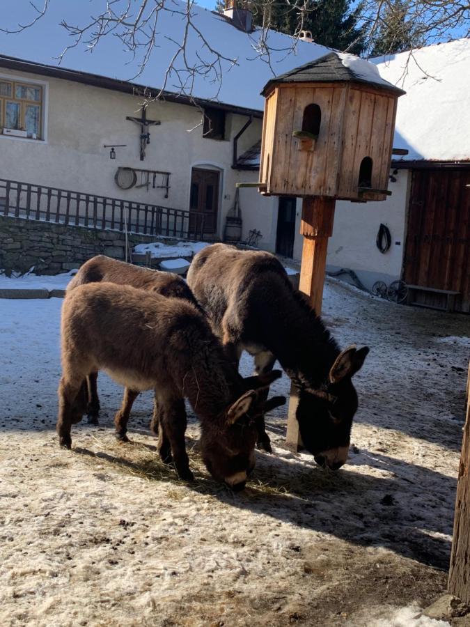 Chalupa Gretl Pohorsko Exteriör bild